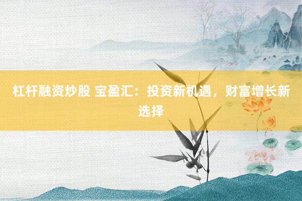 杠杆融资炒股 宝盈汇：投资新机遇，财富增长新选择
