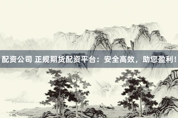 配资公司 正规期货配资平台：安全高效，助您盈利！
