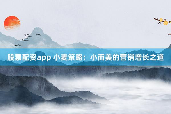 股票配资app 小麦策略：小而美的营销增长之道