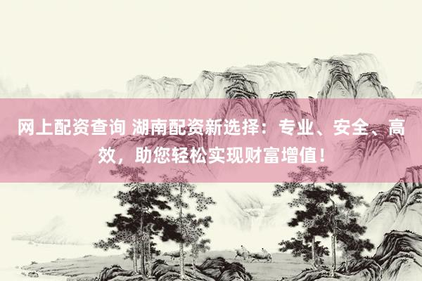网上配资查询 湖南配资新选择：专业、安全、高效，助您轻松实现财富增值！