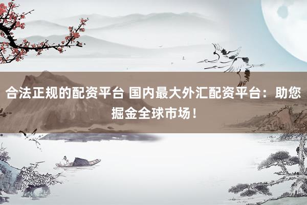 合法正规的配资平台 国内最大外汇配资平台：助您掘金全球市场！