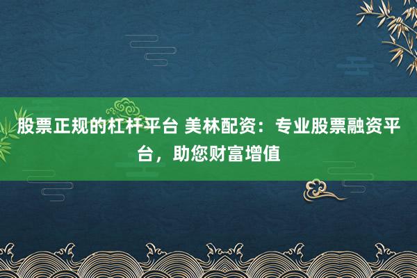股票正规的杠杆平台 美林配资：专业股票融资平台，助您财富增值