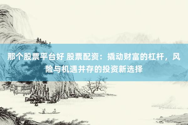 那个股票平台好 股票配资：撬动财富的杠杆，风险与机遇并存的投资新选择