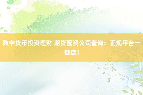 数字货币投资理财 期货配资公司查询：正规平台一键查！