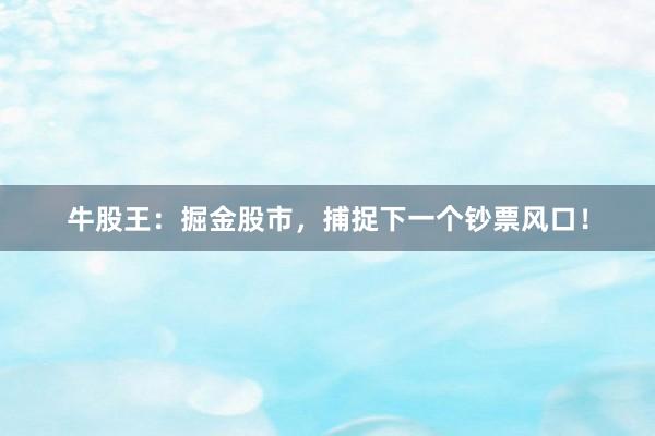 牛股王：掘金股市，捕捉下一个钞票风口！