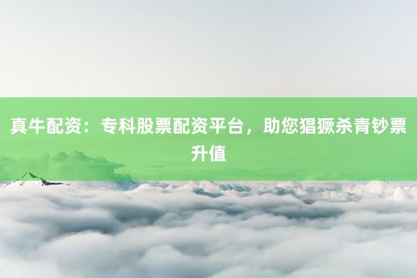 真牛配资：专科股票配资平台，助您猖獗杀青钞票升值