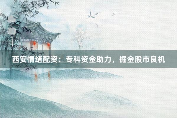 西安情绪配资：专科资金助力，掘金股市良机