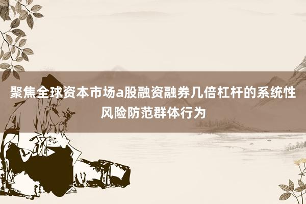 聚焦全球资本市场a股融资融券几倍杠杆的系统性风险防范群体行为