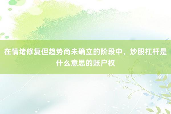 在情绪修复但趋势尚未确立的阶段中，炒股杠杆是什么意思的账户权