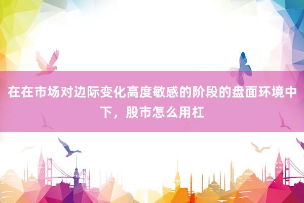 在在市场对边际变化高度敏感的阶段的盘面环境中下，股市怎么用杠