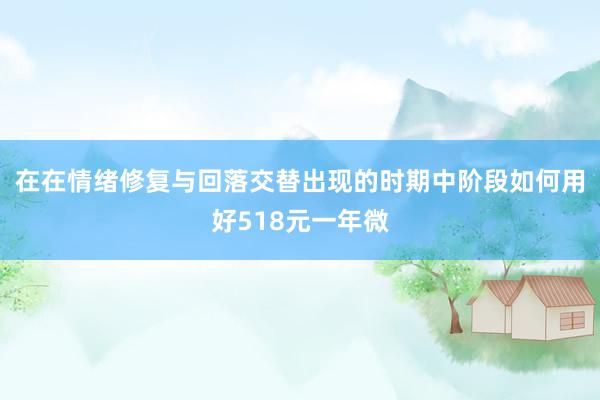 在在情绪修复与回落交替出现的时期中阶段如何用好518元一年微